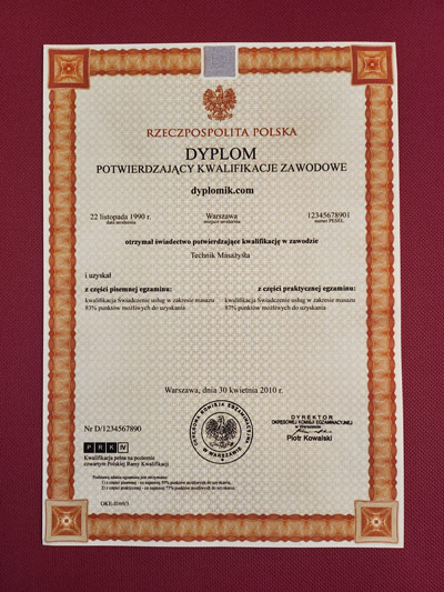 Diploma of professional qualification